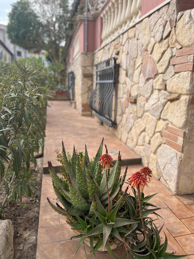 B&B Villa Regina Santa Domenica  Εξωτερικό φωτογραφία
