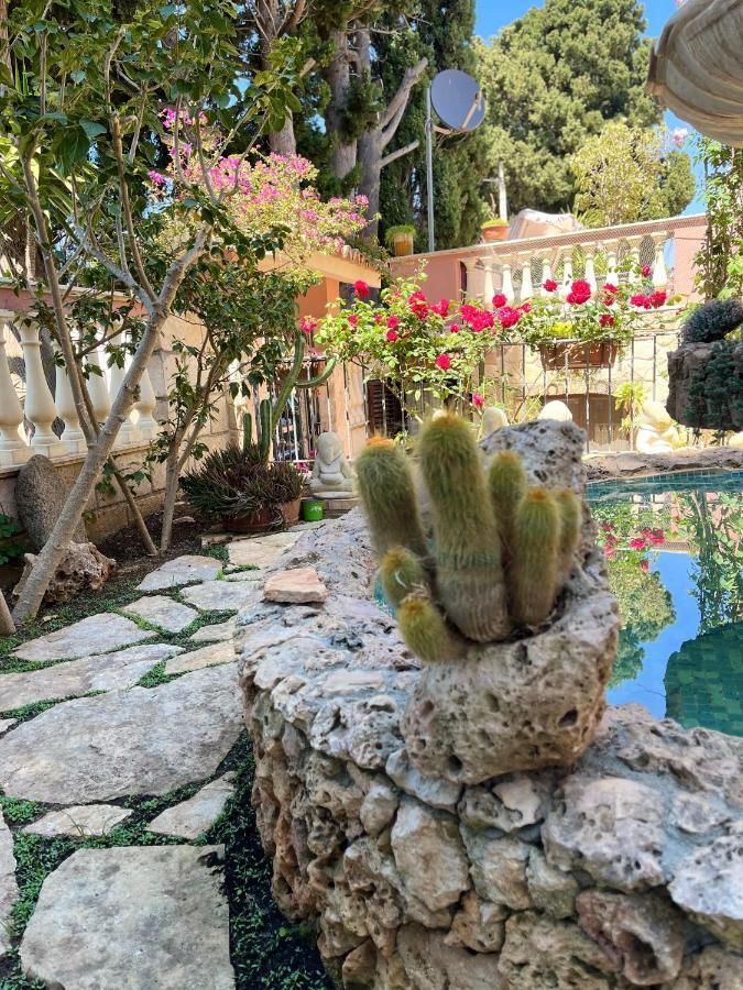 B&B Villa Regina Santa Domenica  Εξωτερικό φωτογραφία